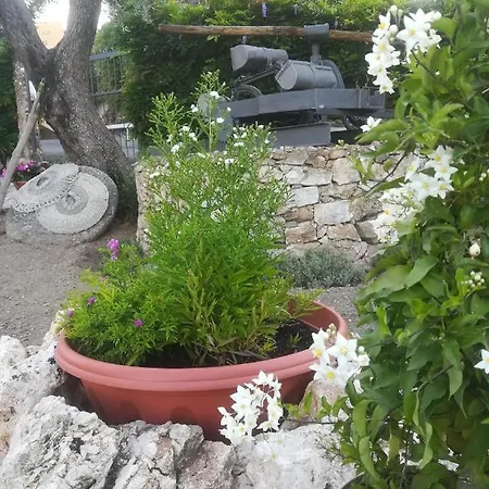 Polline & Conchiglie Panzió Ceriale