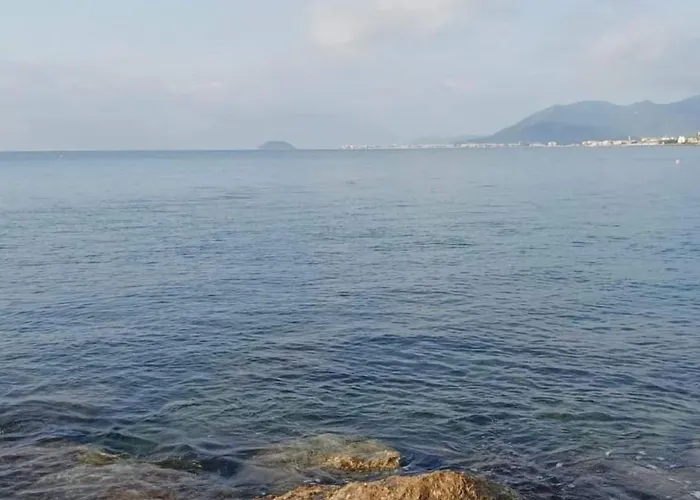 Polline & Conchiglie