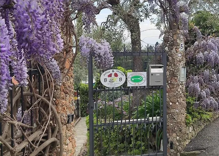 Bed and breakfast Polline & Conchiglie