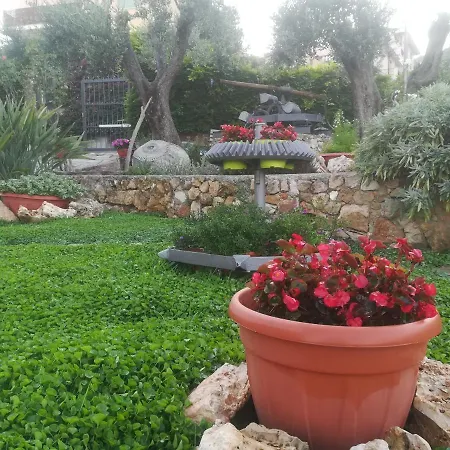 Polline & Conchiglie Nocleg ze śniadaniem 4*