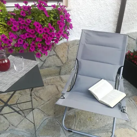 Polline & Conchiglie Ceriale