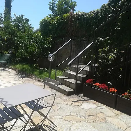 Polline & Conchiglie 4*