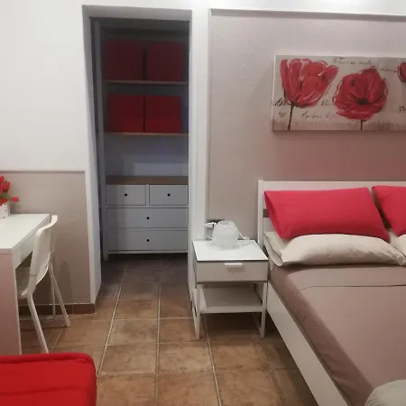 Polline & Conchiglie Ceriale