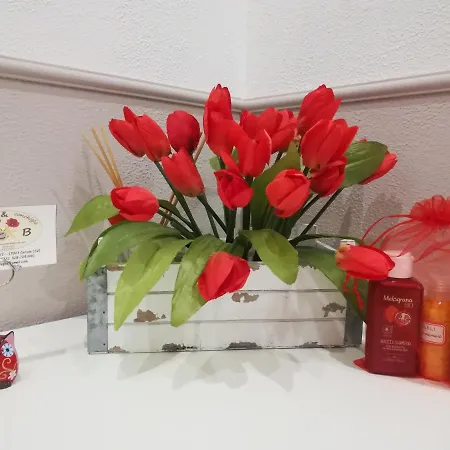 Nocleg ze śniadaniem Polline & Conchiglie Ceriale