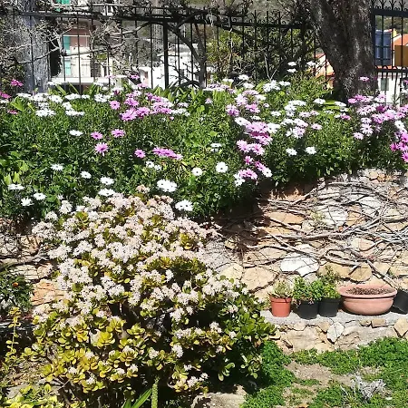 Polline & Conchiglie