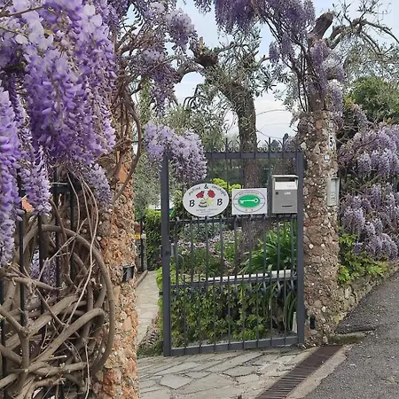 Nocleg ze śniadaniem Polline & Conchiglie