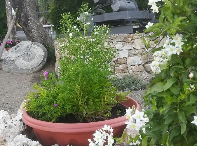 Polline & Conchiglie Отель типа 