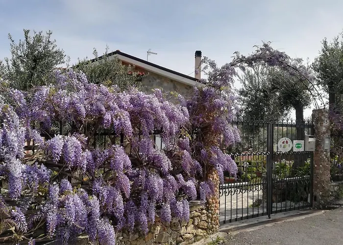 Polline & Conchiglie 4*